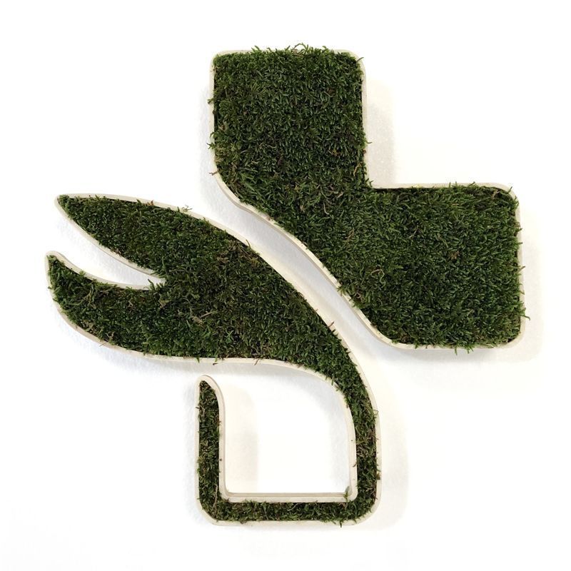 Croix de pharmacie végétale - Lichen scandinave pour l'intérieur uniquement, vert forêt ou vert citron, Style 1_1