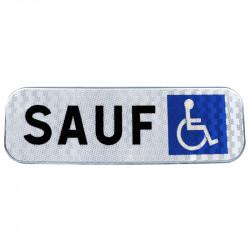 Panonceau de stationnement M6h - Sauf PMR - Signalisation de parking_1
