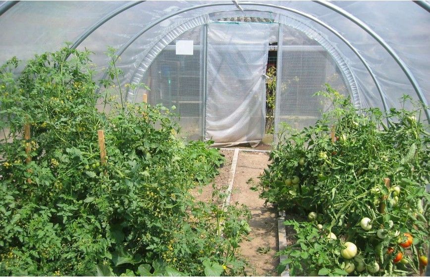 Serre tunnel mixte intelligent - 3 à 12 mètres de long - OPTIMUM_2