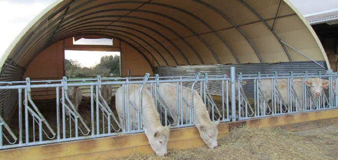 Tunnel de stockage / ouvert / structure en acier / couverture en pvc / ancrage au sol avec platine_1