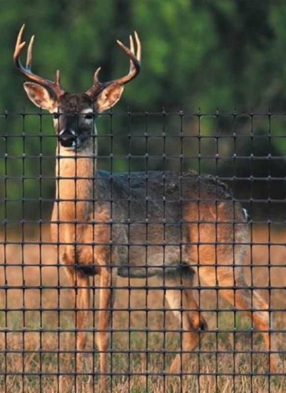 Clôture à gibier en polypropylène - 229 cm - Résistance 1t/m² - Maille 50x50 mm - Rouleaux de 100m_1