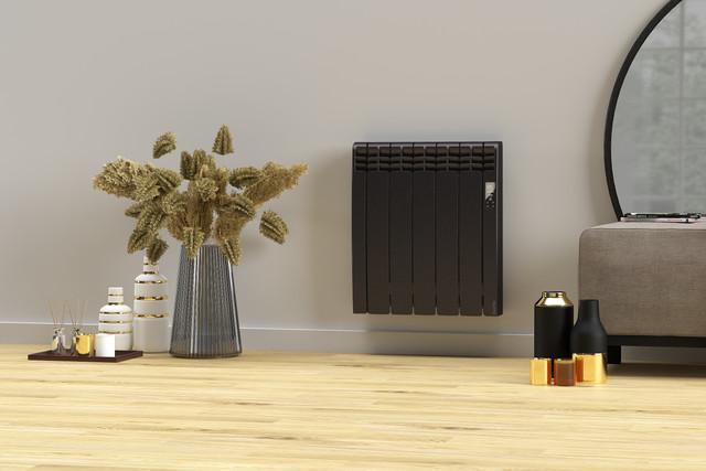 Radiateur SERIE D Wi-Fi 5 éléments 750W Graphite - Rointe - DFB0750RAD2_1