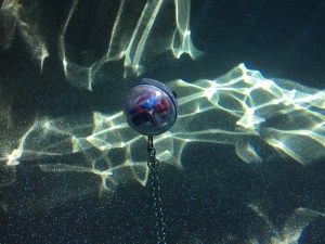 Échantillonneur CLAM par extraction SPE - submersible compact et autonome jusqu'à 36 heures_1