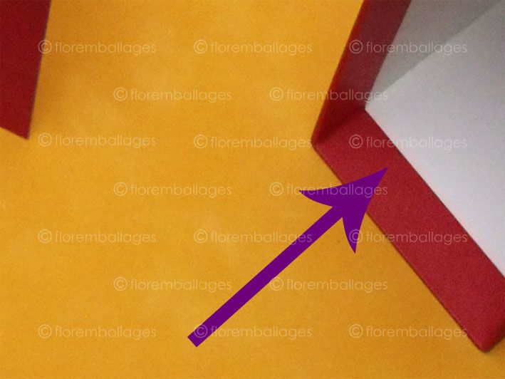 Coffret sur-mesure - boîte fourreau en carton - boîte cadeau - FLO R emballages_1