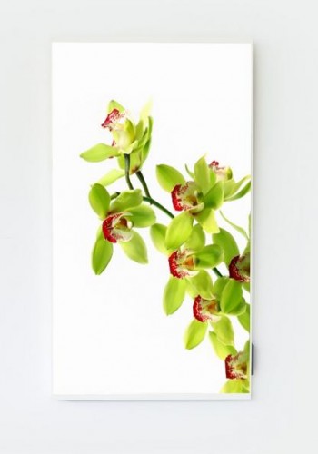 Radiateur infrarouge lointain IRL 600W T-V - thermostat digital intégré - installation facile_1