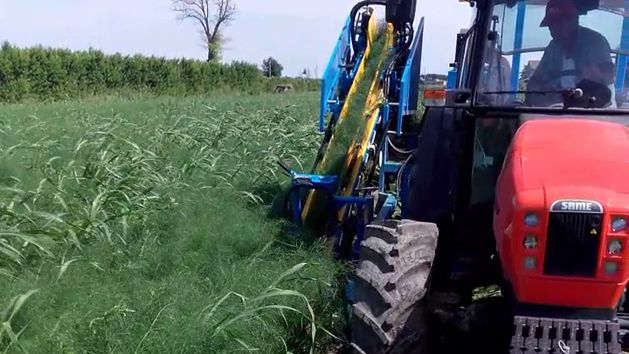 Récolteuse de fenouil F 285 - Carpi Meccanica S.N.C - mono-rang, demi-portée, courroies et tri hydraulique_2