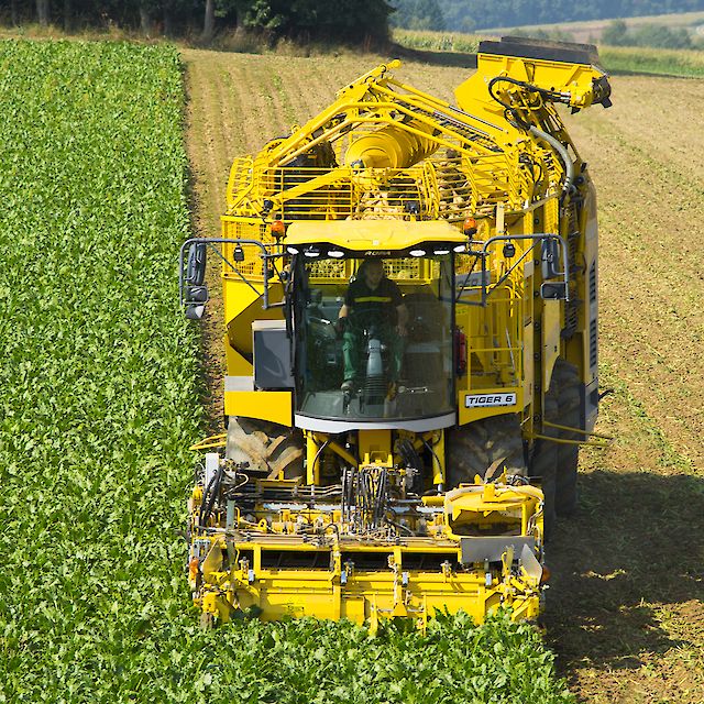 Arracheuse de betteraves Tiger 6 - ROPA France - Moteur 700 CV ou 768 CV - Respect du sol et performance accrue_2