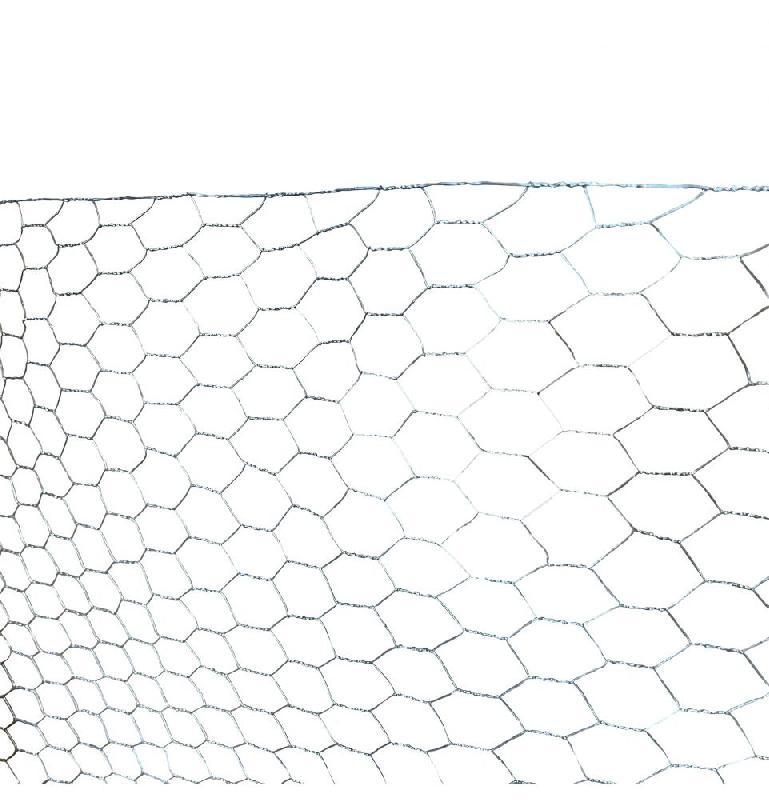 Grillage à poule TTG100 - triple torsion, mailles hexagonales, garantie 10 ans contre la rouille_1