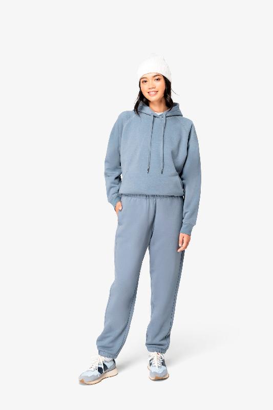 Sweat-shirt écoresponsable à capuche raglan femme - Native Spirit - Réf : NS422 - 65% coton biologique et 35% polyester recyclé_1