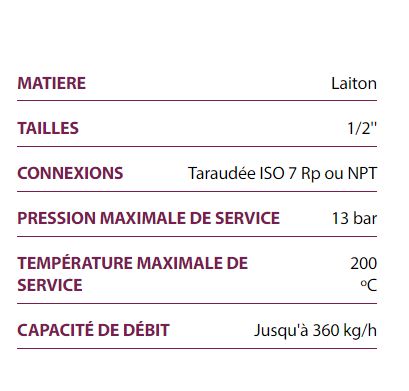 Purgeurs thermostatiques TH13A - Valsteam - capacité de débit jusqu'à 360 kg/h - compact et polyvalent_1