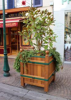 Bac à palmier malmaison_1