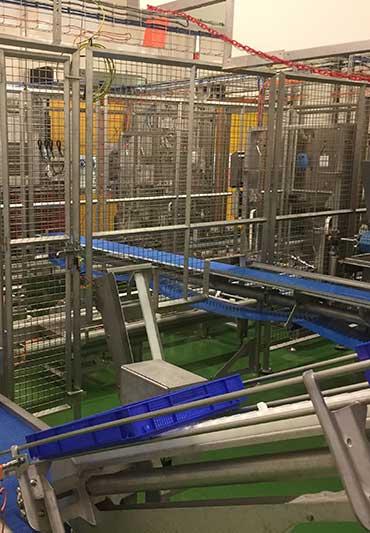 Convoyeur à taquet - système pour caisses palettes et bacs 600 x 400 mm - fabrication inox_1