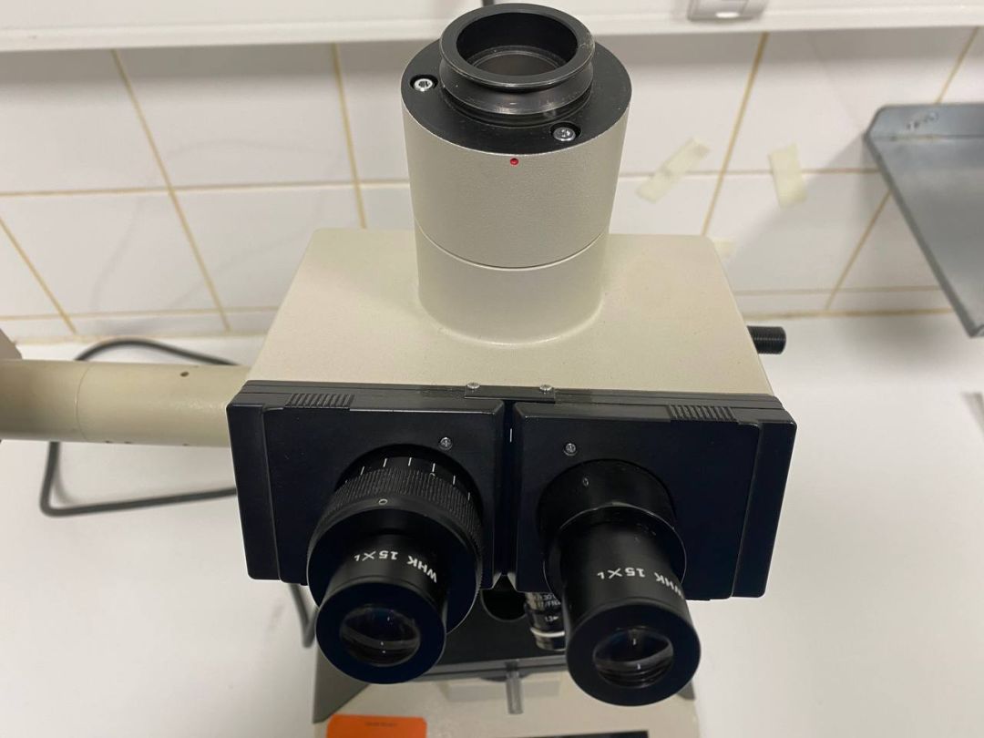 Microscope de laboratoire d'occasion BH-2 Olympus - Référence P2212-1958, avec 4 lentilles incluses_1