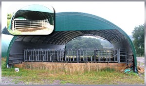 Tunnel d'élevage pour bovins  - TYPE 9.50 ou 10m_1