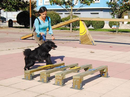 Saut en longueur edu can agility parcours canin  2 obstacles_1