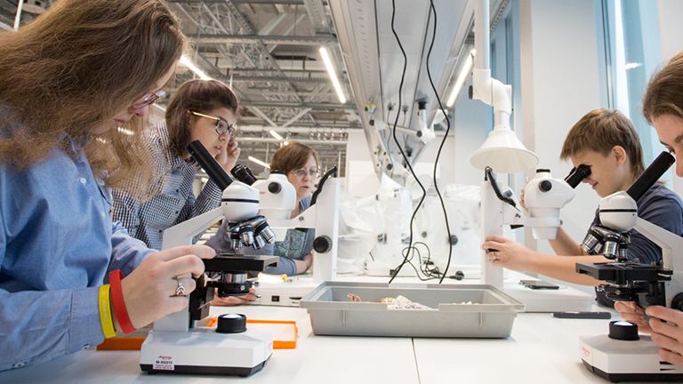 Système de médias certifiés au  plafond - aile d'énergie MEDIAWING_1