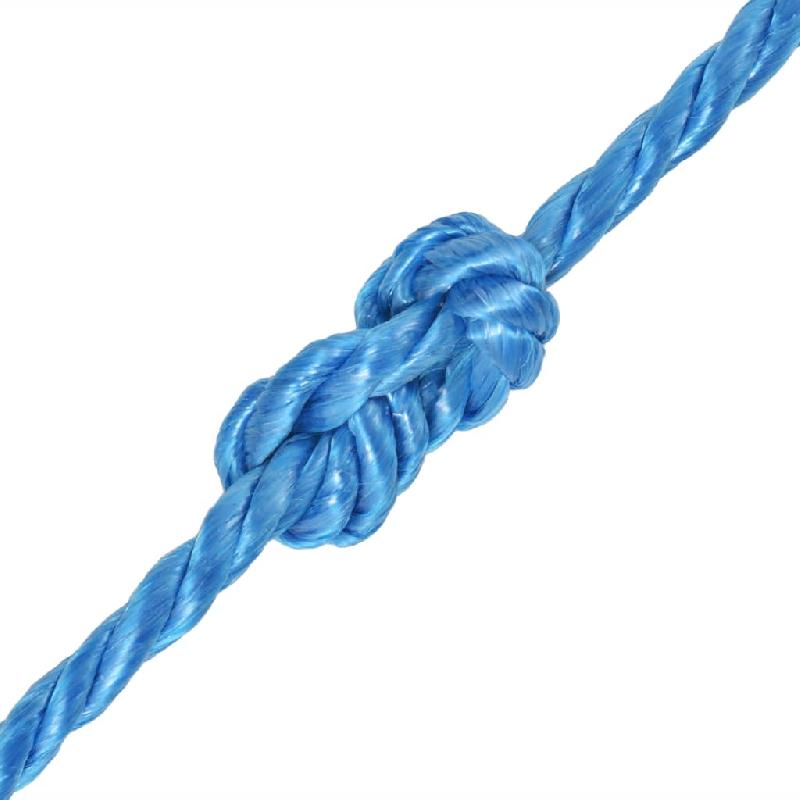 Vidaxl corde torsadée polypropylène 10 mm 500 m bleu 143845_1