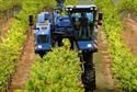 9090X Dual New Holland - Machine à vendanger Dual-Olive/Vigne avec 2 bennes en acier inoxydable (3200 litres)_1