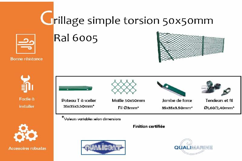 Grillage simple torsion maille 50x50mm Ral 6005 - 1200_1