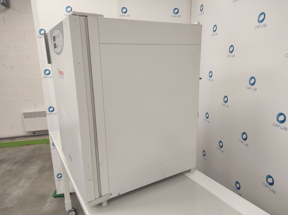 Incubateur à CO2 d'occasion de laboratoire de recherche - Thermofisher BB15_1