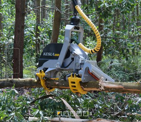 Tetes d'abatteuses kesla 20sh_1