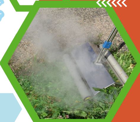 Nettoyeur vapeur professionnel pour un désherbage efficace_1