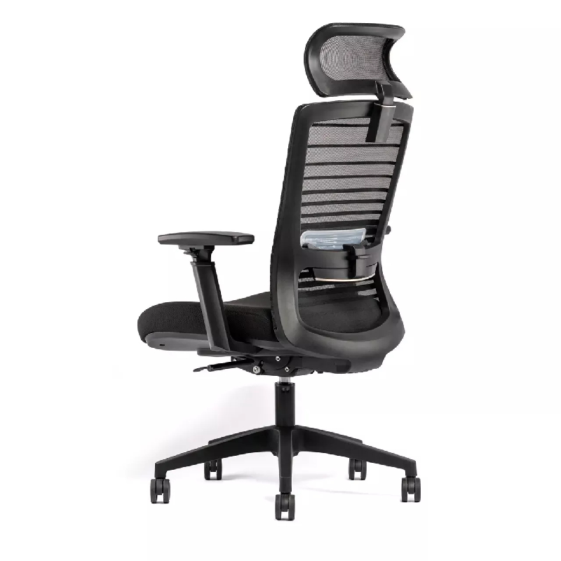 Siège de bureau ergonomique - synchrone So Nola - IZA-R, Avec_1