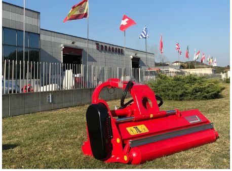 Broyeur forestier MTP - Dragone Web - Herbe, branches de bois dur, terrains pierreux_1