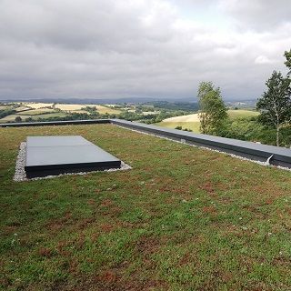 Membrane d'étanchéité RENOLIT ALKORPLAN Green - Toiture verte optimisée pour habitations et locaux_1