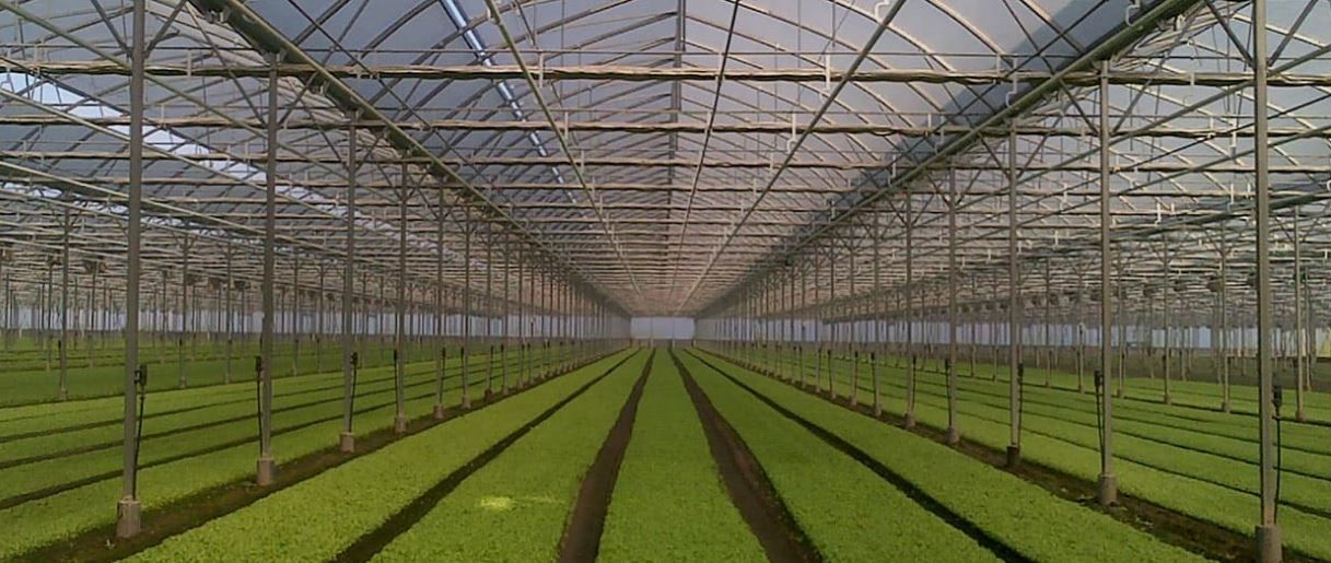 Serre chapelle - richel group - de 6.40 à 16 m_1