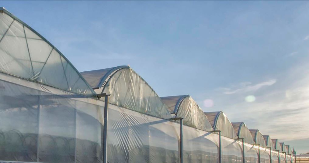 Asi-eco - serre chapelle - barre ETS - structure asymétrique pour plus de lumière et moins de risques de pluie_1