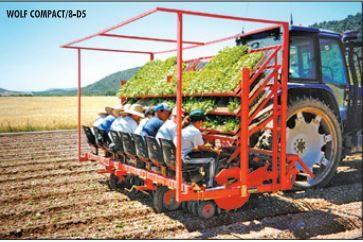 Planteuse Wolf adaptée aux pommes de terre et bulbes sur sol nu