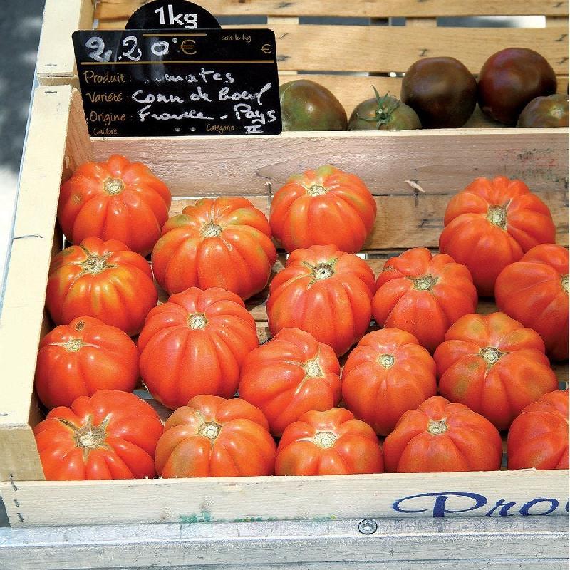 Ardoise réglementaire pour fruits et légumes 15x10cm - Lot de 10 - Disque 1kg - Pique inox_1