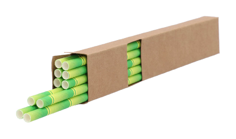 Set de pailles en papier motif bambou - Lot de 10 avec boîte kraft_1