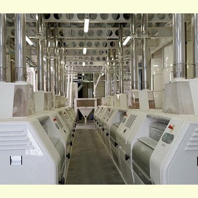 Équipements et lignes de transformation de blé et mais en farine ou semoule_1