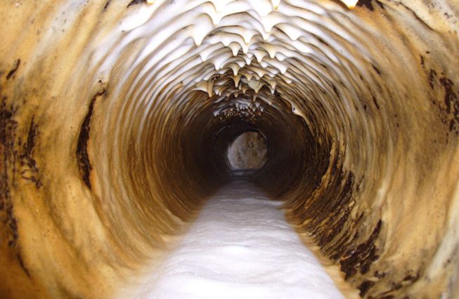 AR16 - Machine de nettoyage de climatisation Teinnova - Compresseur d'air - Pression 10 bar_1