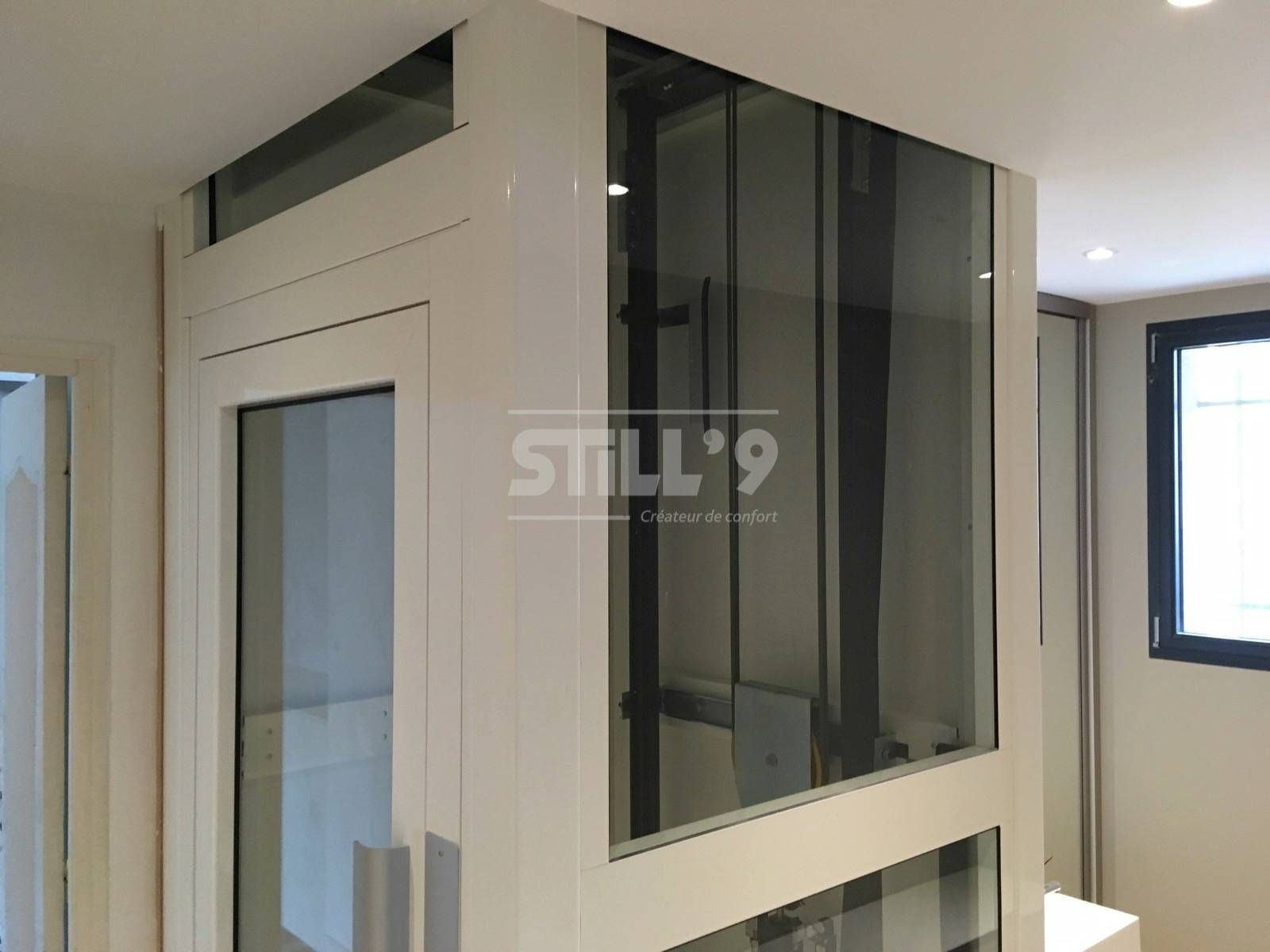 Ascenseur pylône autoportant Domuslift S - Small - poids max 250 kg - still9_1