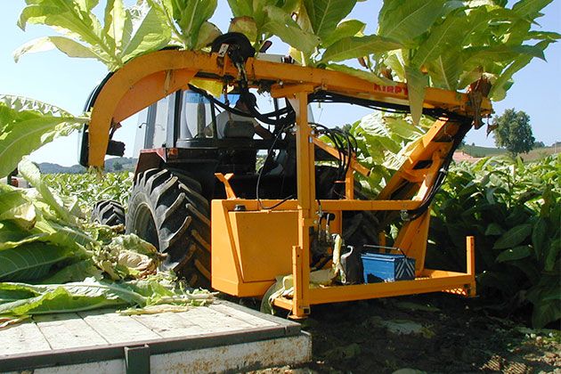 Récolteuse de tabac rmtd - kirpy - largeur de travail 3.85 m_0