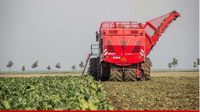 Arracheuse de betteraves automotrice EVO Beet Eater - Frans Vervaet B.V - Trémie 25 tonnes, nettoyage performant_0