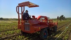 Scorpion - Bineuse automatique automotrice Ferrari - Planche unique ou multiple, avec technologies avancées_1