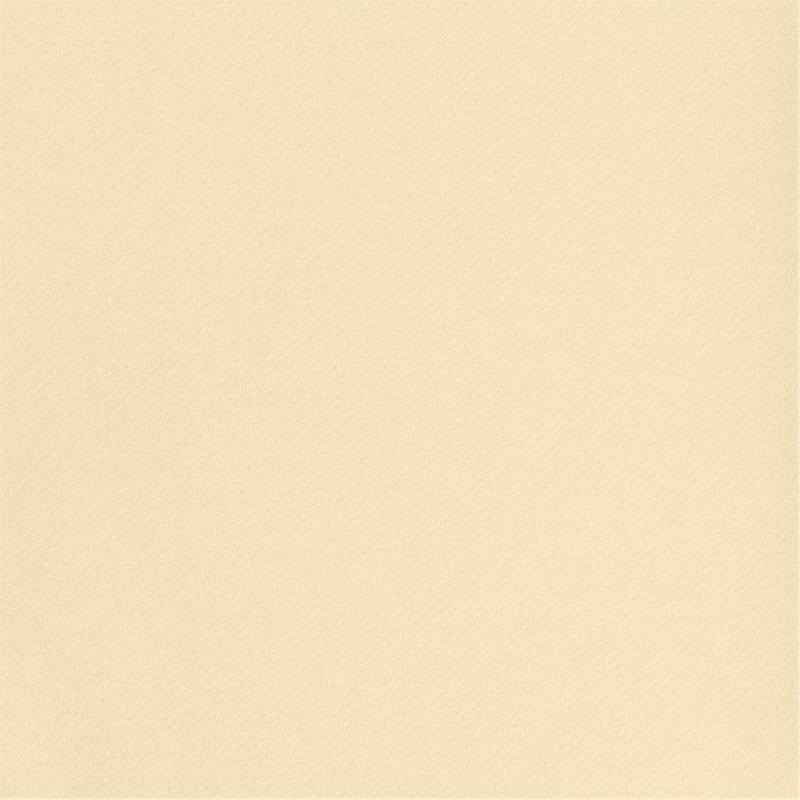 Tête-à-tête maxi pré-découpé 120cm intissé ivoire 0,50x24m - par 6_1