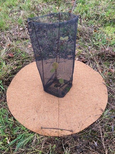 50 disques de paillage en coco - 60 cm - protection des arbres - 100% biodégradable_1