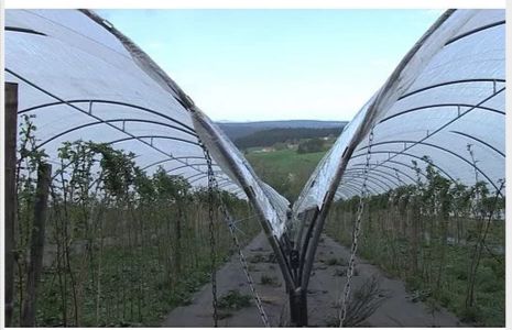 Serre tunnel professionnelle - Serres Natural - Largeur 5m - Hauteur 3.60m - Spécial fruits rouges_1