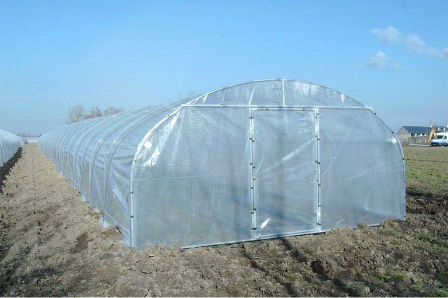 Serre tunnel Val de Loire à pied droit - Longueur 10 m - Pro 5 m_1