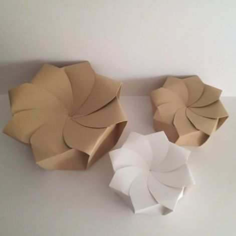 Boîte en carton écologique transformable en assiette