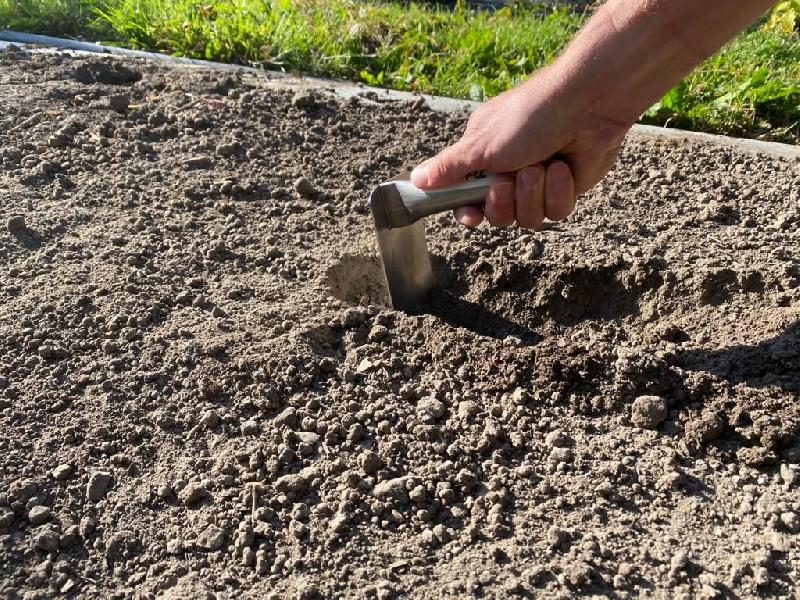 Pelle à planter inox - idéale pour plantation et désherbage rapide - 100% inox - largeur 70mm et poignée 135mm_1