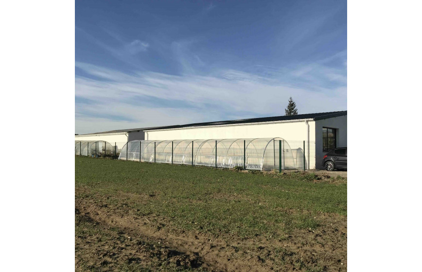 Serre de jardin idéale pour les collectivités - FLANDRES_2