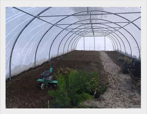 Serre tunnel maraîchère professionnelle à bâche enterrée - Longueur 6 m - TMC60010_1