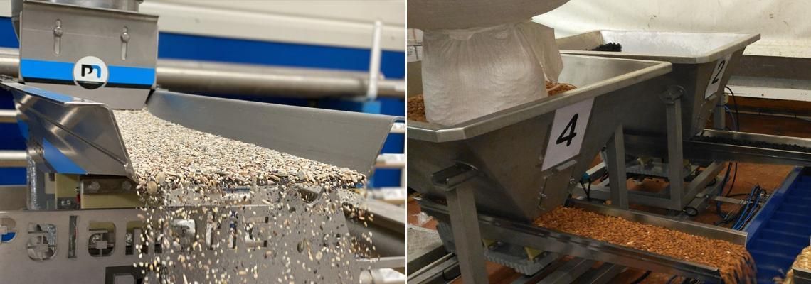 Doseur industriel - Palamatic Process - extraction et dosage par perte de poids - largeurs : 80 à 250 mm_1