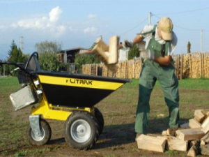 Brouette électrique 24v / 600w s2 20 min - alitrak - dt-300e_1